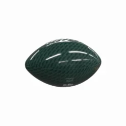NCAA Hawaii Rainbow Warriors Mini-Size Glossy Football
