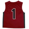 NCAA South Carolina Gamecocks Boys' Toddler Basketball Jersey -Nacc GUEST 27d5f7f9 9b85 49a9 9def 21328f774f9f