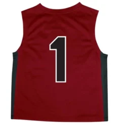NCAA South Carolina Gamecocks Boys' Toddler Basketball Jersey
