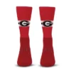 NCAA Georgia Bulldogs Streak Team Color Crew Socks - L -Nacc GUEST 497778bd 740f 48ed 8099 4072be38eef9