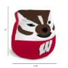 NCAA Wisconsin Badgers Plushie Mascot Pillow: Sports Team Logo Novelty Pillow