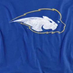 Hofstra University Distressed Primary Logo Kids T-Shirt For Youth Royal Blue