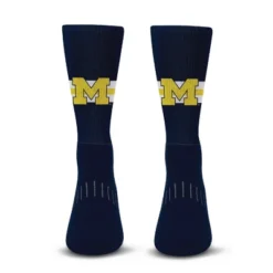 NCAA Michigan Wolverines Streak Team Color Crew Socks - L